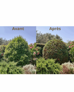 Copie de Copie de Post Instagram Professionel Elégant Minimaliste Beige (11)