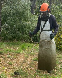accueil entretien de jardin