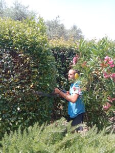 accueil entretien de jardin
